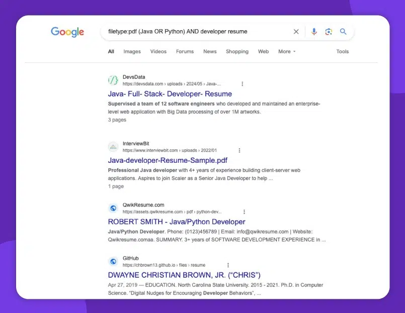 filetype:pdf (Java OR Python) AND developer resume