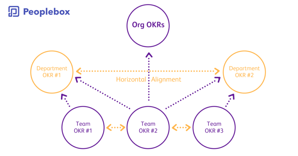 Horizontal team alignment