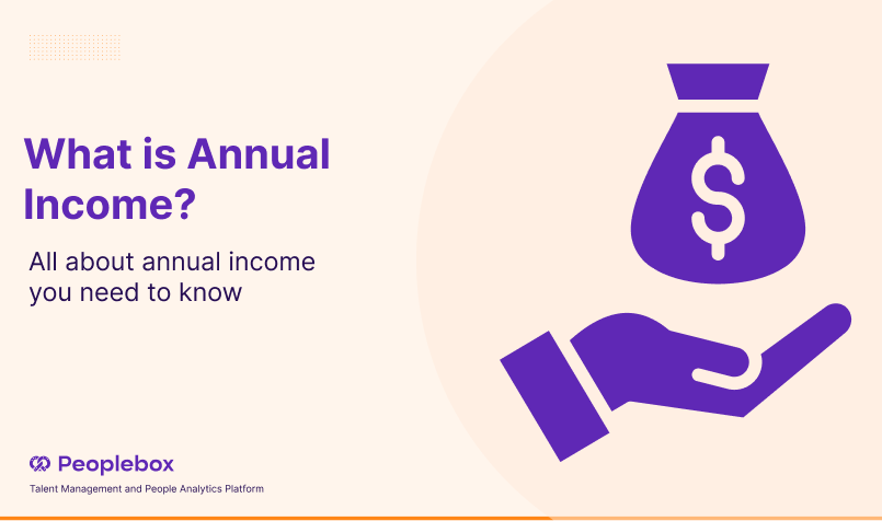 What is Annual Income