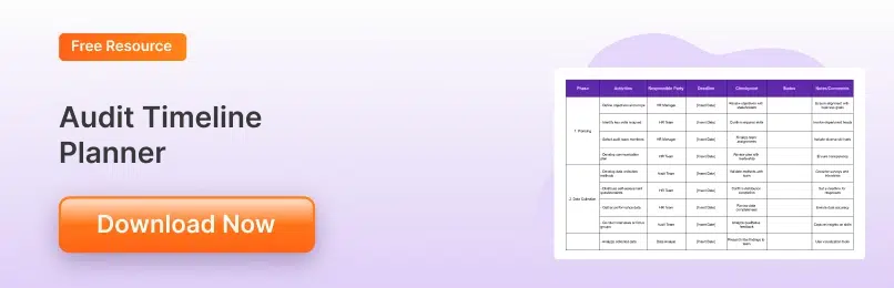 Audit Timeline Planner