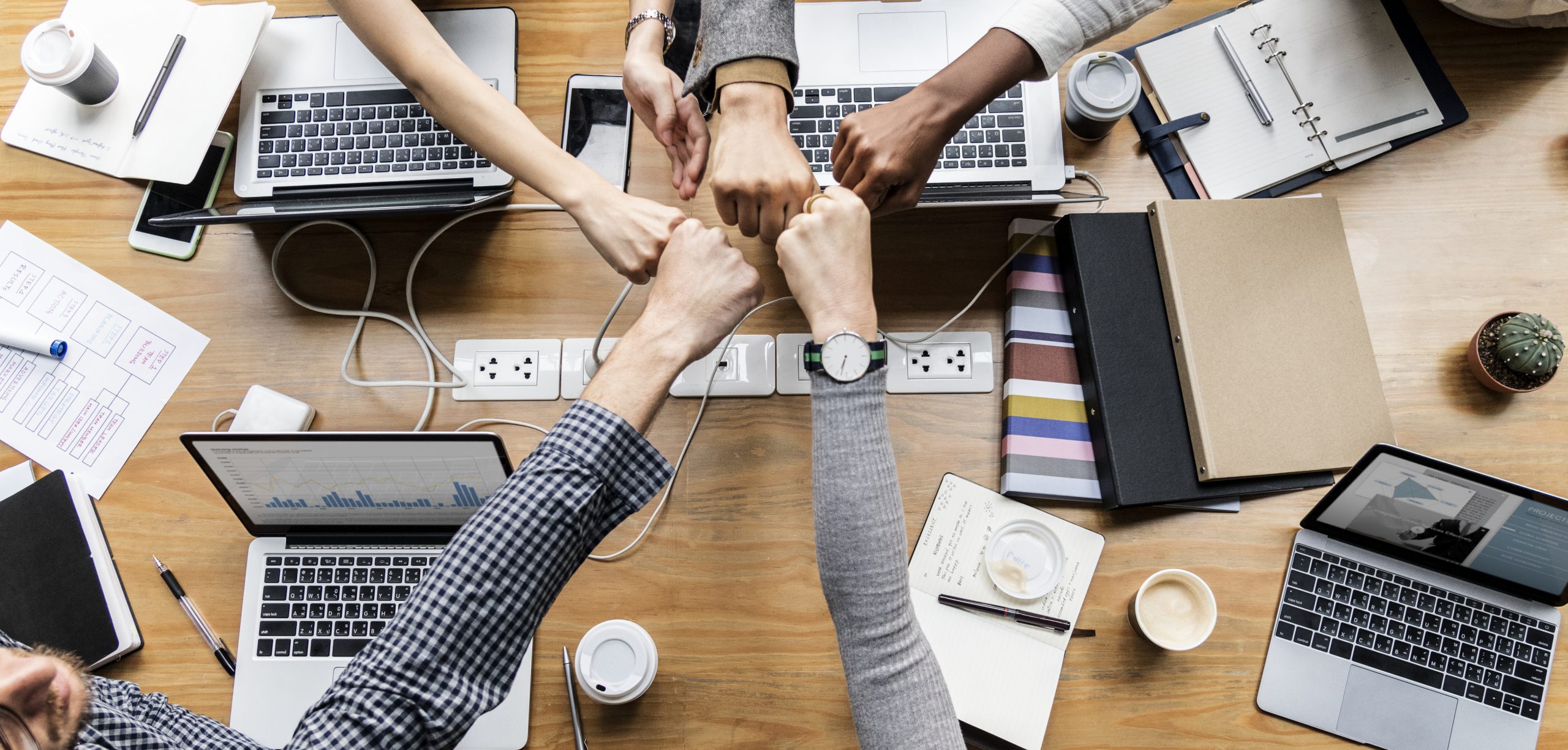 What is the Purpose of One on One Meetings?