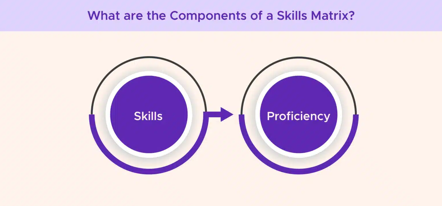 What are the Components of a Skills Matrix?